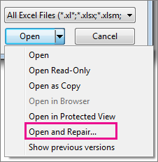 sh_Excel - Repairacorruptedworkbook_EV_1.png