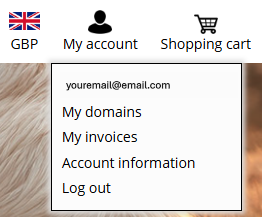 sh_VercelDNSChangeDomainName_EV_1.png