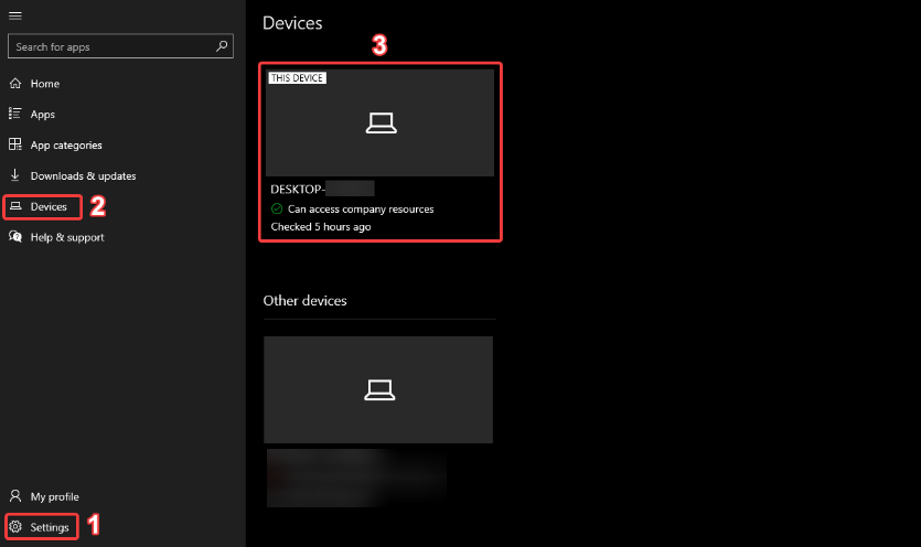 sh_Windows - Resetcomputeryourself - Company Portal_EV_2.png